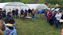 Le groupe avec des serres sur la parcelle