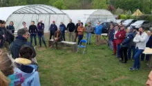 Le groupe avec des serres sur la parcelle