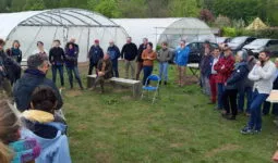 Le groupe avec des serres sur la parcelle