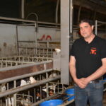 Un éleveur de veaux dans son atelier