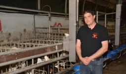 Un éleveur de veaux dans son atelier