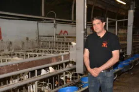 Un éleveur de veaux dans son atelier