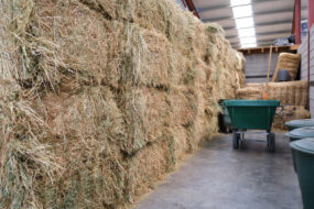 Du foin stocké dans un bâtiment