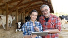 Une femme et un homme dans une stabulation de vaches avec un ordinateur à la main