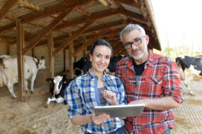 Une femme et un homme dans une stabulation de vaches avec un ordinateur à la main