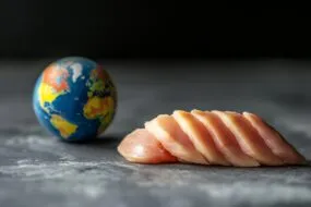 mocreaux de viande de voalille découpées et globe terrestre