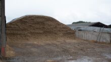 Un silo d'ensilage sur un élevage laitier.