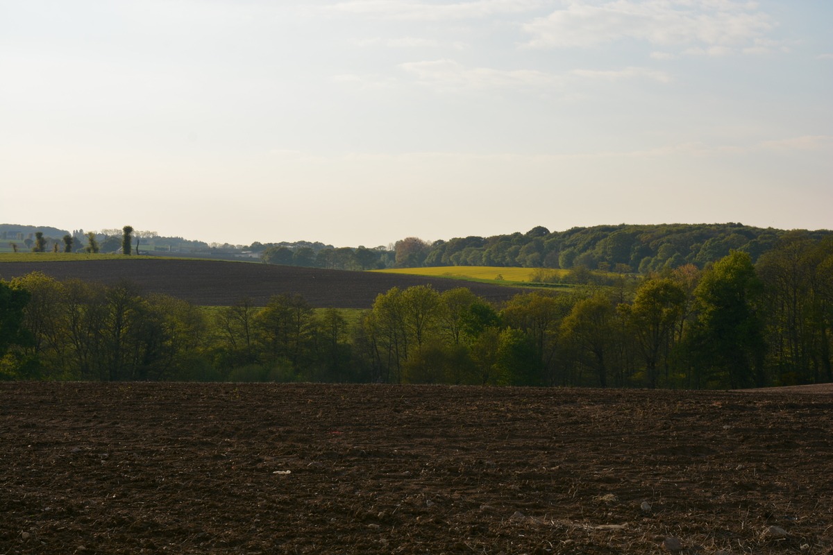 paysage breton avec champ labouré au premier plan - Illustration 140 M€ de crédits annulés
