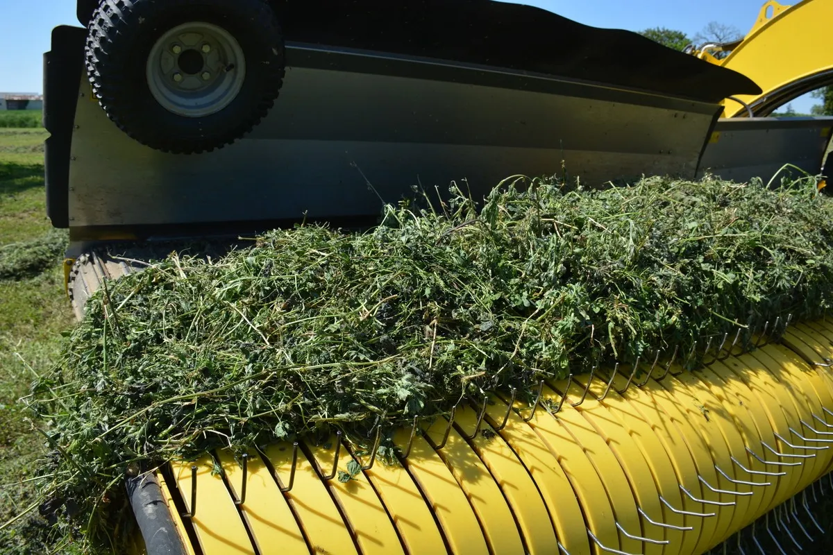 Un andaineur à tapis