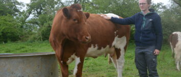 Chloé Dubourg à côté d'une de ses vaches