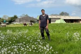 Un éleveur dans une prairie devant un décor avec des génisses de race Normande et des bâtiments