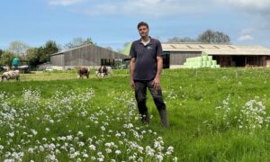 Un éleveur dans une prairie devant un décor avec des génisses de race Normande et des bâtiments