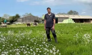 Un éleveur dans une prairie devant un décor avec des génisses de race Normande et des bâtiments