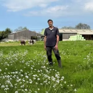 Un éleveur dans une prairie devant un décor avec des génisses de race Normande et des bâtiments