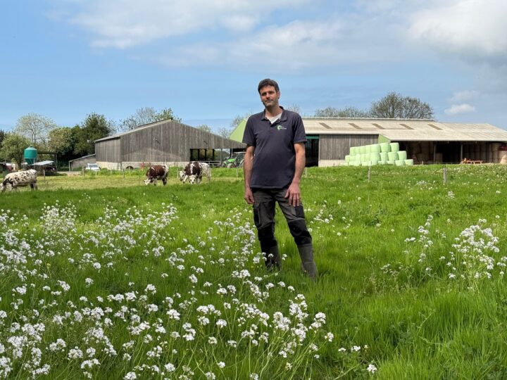 Un éleveur dans une prairie devant un décor avec des génisses de race Normande et des bâtiments