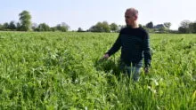 Un homme dans un champ observant ses cultures