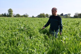 Un homme dans un champ observant ses cultures
