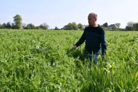 Un homme dans un champ observant ses cultures