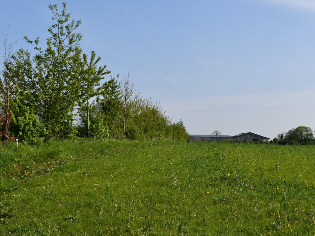 De nombreux arbres et haies sont présents sur l’exploitation.