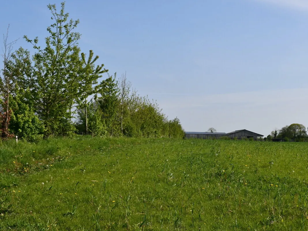 De nombreux arbres et haies sont présents sur l’exploitation.
