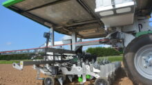 Robot Farmdroid dans un champ