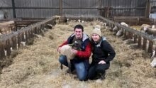 Un couple dans une bergerie