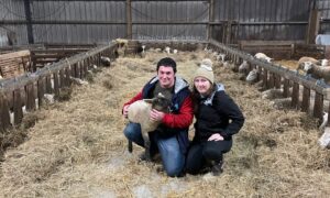 Un couple dans une bergerie