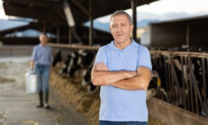 Un homme les bras croisés dans une stabulation