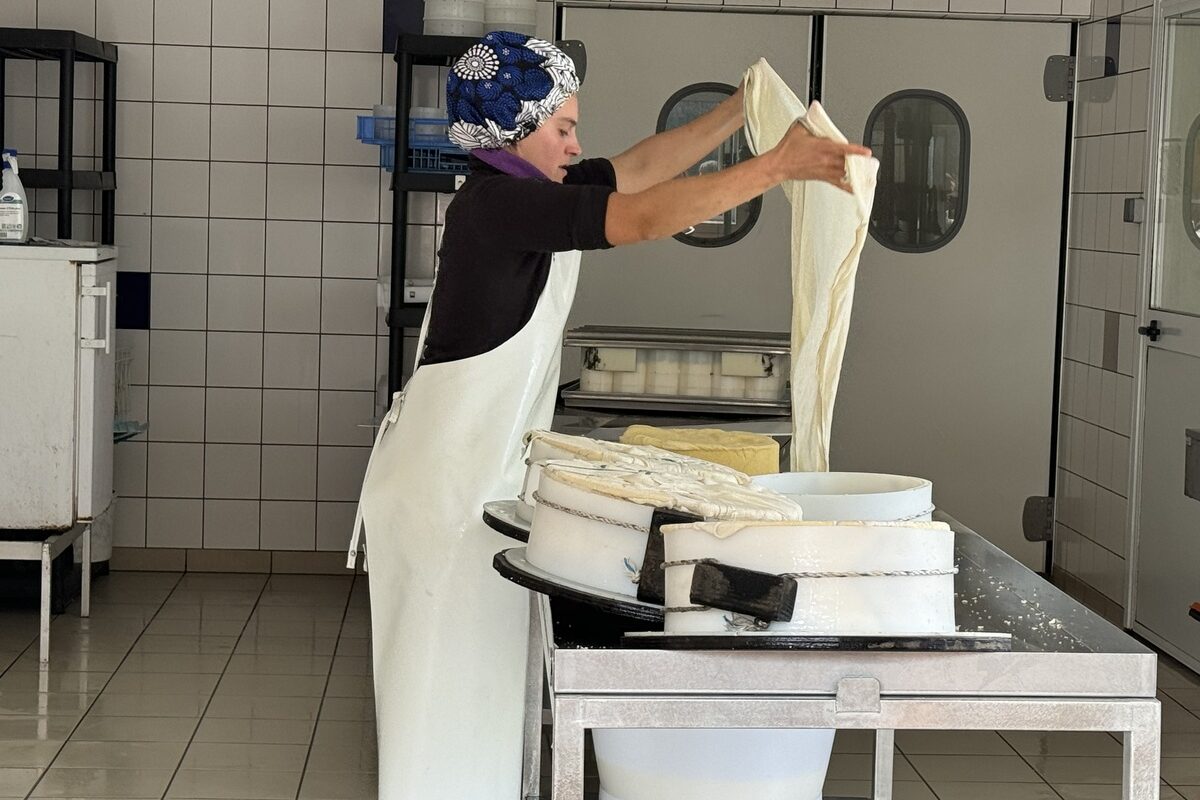 Une femme en train de travailler dans un laboratoire de transformation fromagère sur une ferme laitière - Illustration Une soirée sur la transformation laitière
