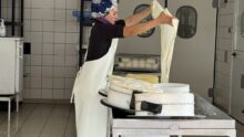 Une femme en train de travailler dans un laboratoire de transformation fromagère sur une ferme laitière