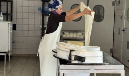 Une femme en train de travailler dans un laboratoire de transformation fromagère sur une ferme laitière