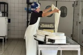 Une femme en train de travailler dans un laboratoire de transformation fromagère sur une ferme laitière