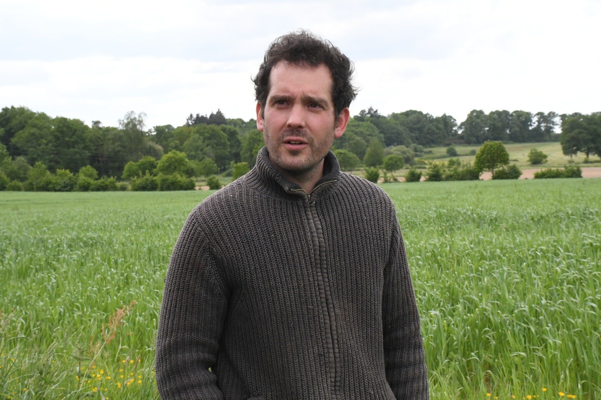 Thomas Payen devant une de ses parcelles de blés.