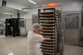 une femme qui tire un rack d'oeufs dans un couvoir