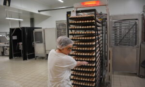 une femme qui tire un rack d'oeufs dans un couvoir