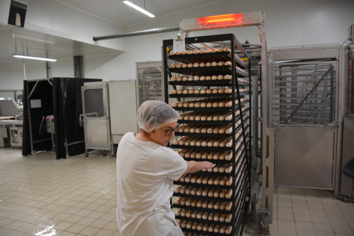 une femme qui tire un rack d'oeufs dans un couvoir