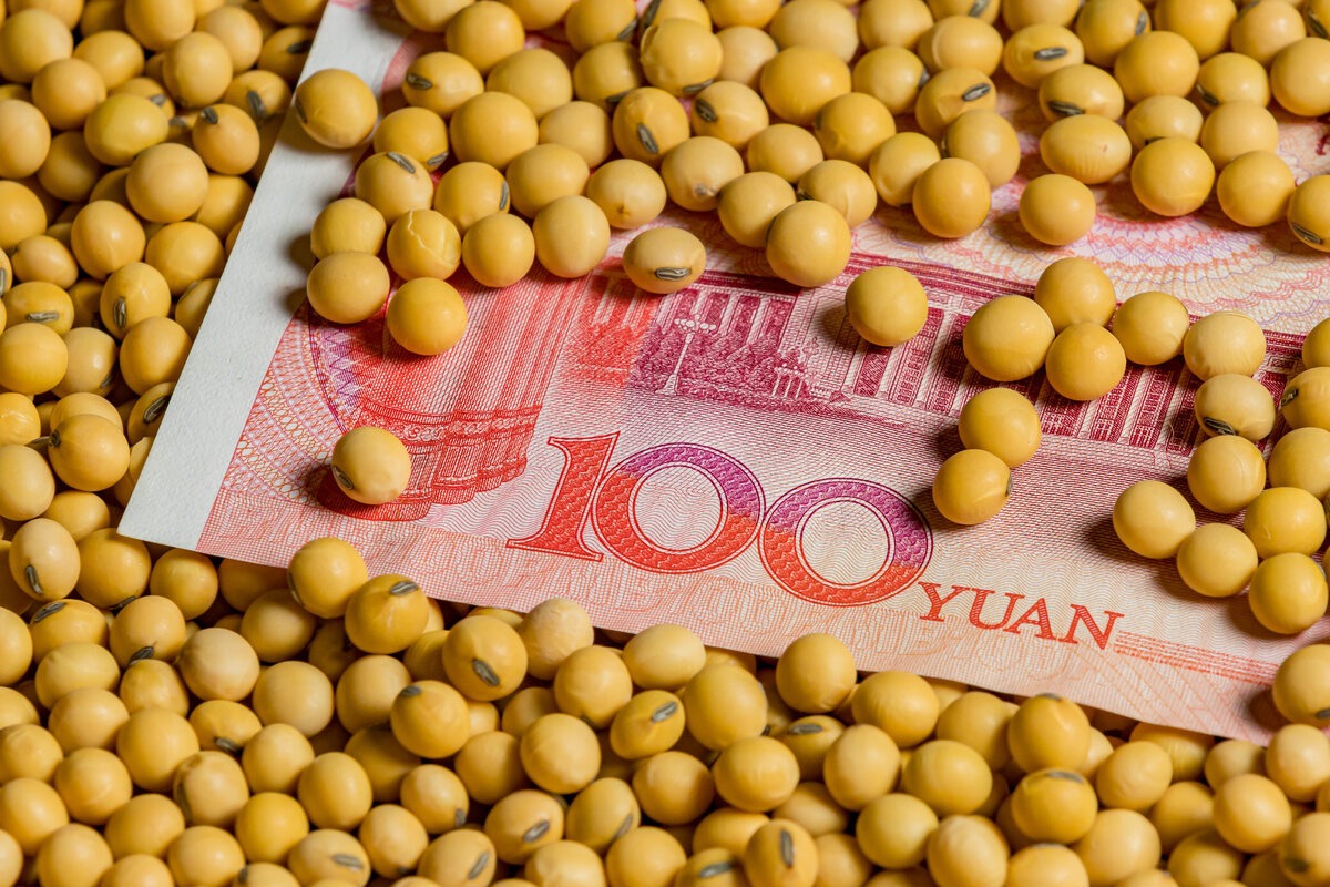 Des graines de soja sur un billet de 100 yuan - Illustration Portrait chinois… de l’agriculture chinoise