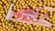 Des graines de soja sur un billet de 100 yuan