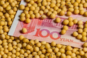 Des graines de soja sur un billet de 100 yuan