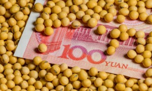 Des graines de soja sur un billet de 100 yuan