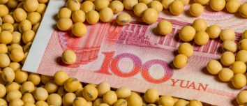 Des graines de soja sur un billet de 100 yuan