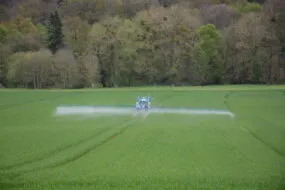 Un tracteur en train de pulvériser du fongicide dans un champ de blé