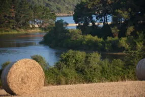 Une balle de paille dans un champ avec une vue sur mer derrière