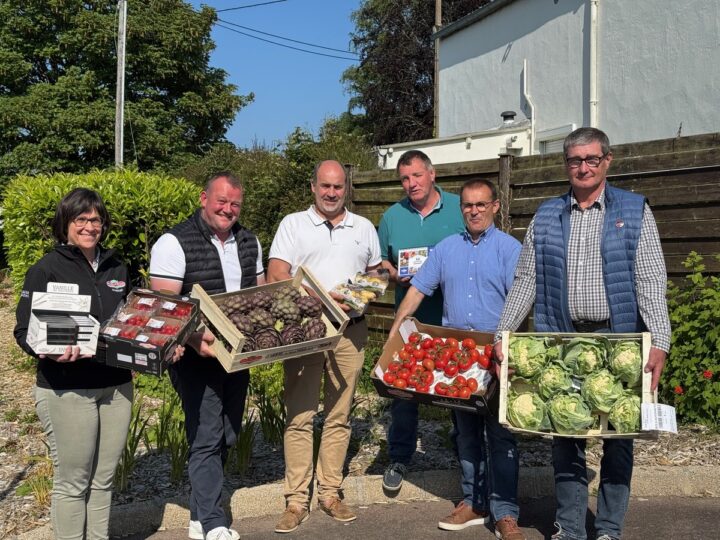 Une femme et cinq hommes présentant des cageots de légumes.