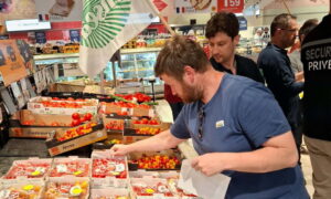 Stickage des tomates importées par des producteurs français