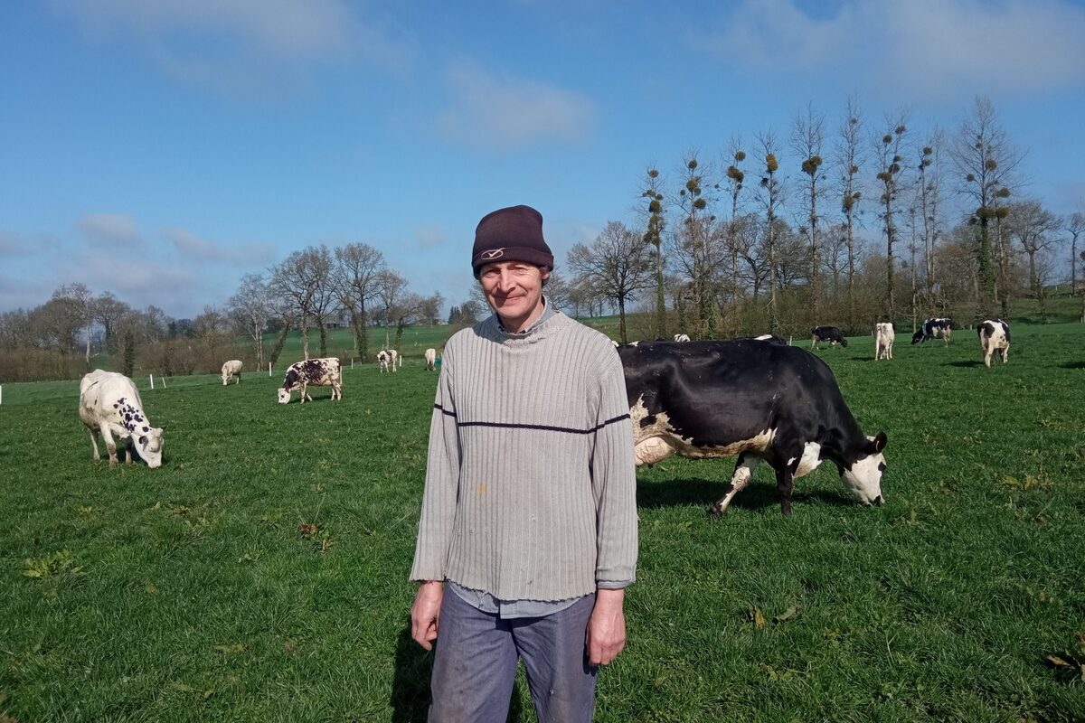Un éleveur portant un bonnet devant un troupeau de vaches en train de brouter. - Illustration Bien vivre sur 50 ha  en système pâturant