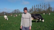 Un éleveur portant un bonnet devant un troupeau de vaches en train de brouter.