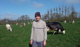Un éleveur portant un bonnet devant un troupeau de vaches en train de brouter.