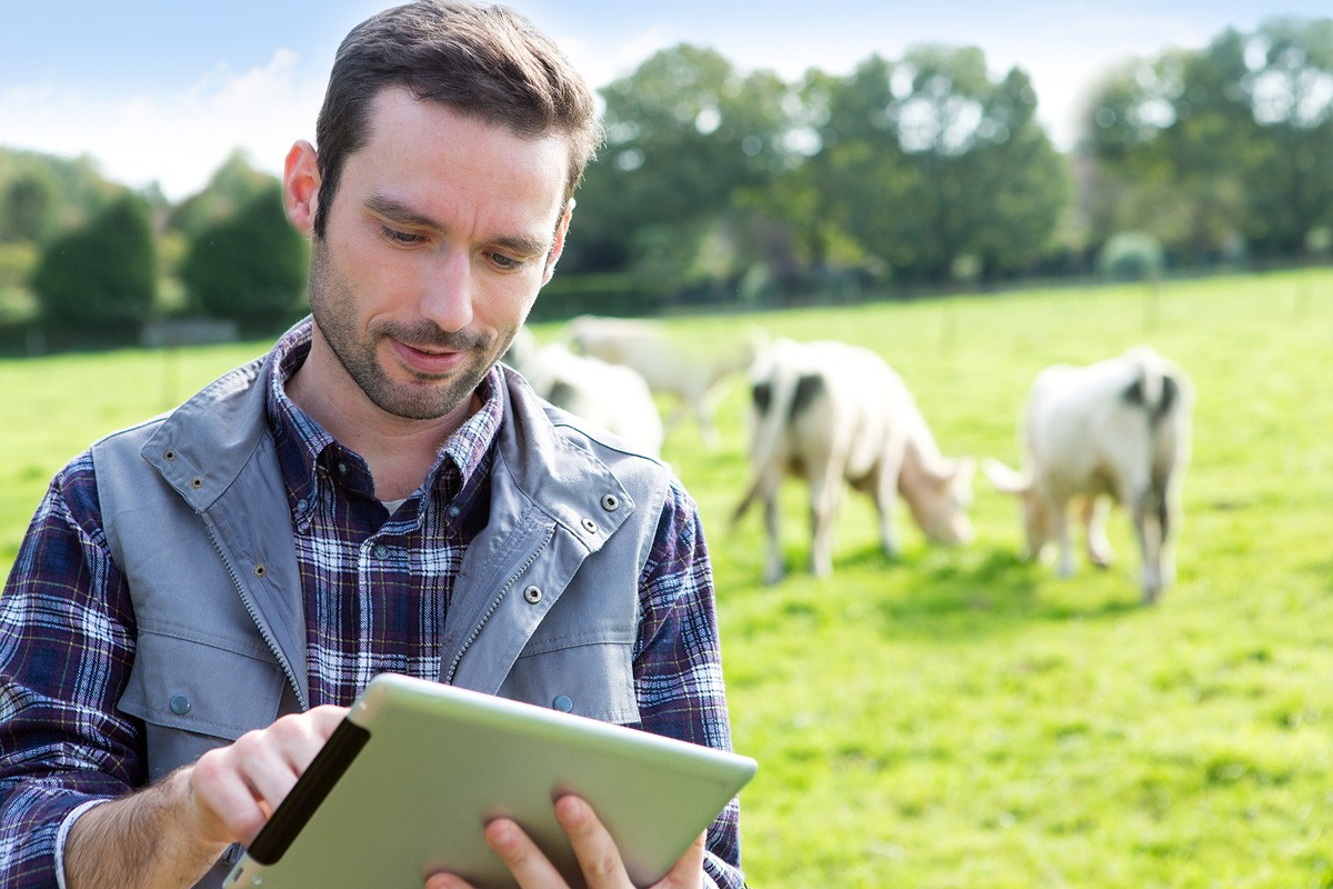 Un homme avec une tablette dans un champ avec des vaches - Illustration ‘Stage agricole’ facilite la mise en relation