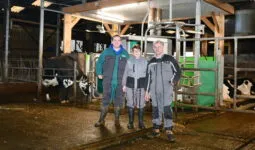 Des agriculteurs dans un bâtiment avec une vache qui entre dans un robot de traite